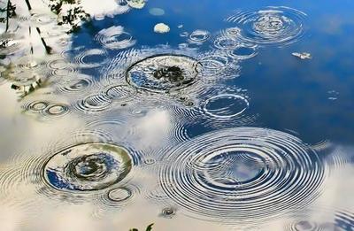 На реках Приморья отмечается пониженный уровень воды