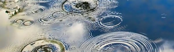 На реках Приморья отмечается пониженный уровень воды