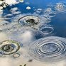 На реках Приморья отмечается пониженный уровень воды