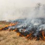 На выходных в Приморье сохранится опасность лесных пожаров