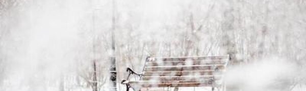 Значительных снегопадов в Приморье на этой неделе не ожидается