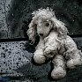 Приморье ожидает продолжительное ненастье