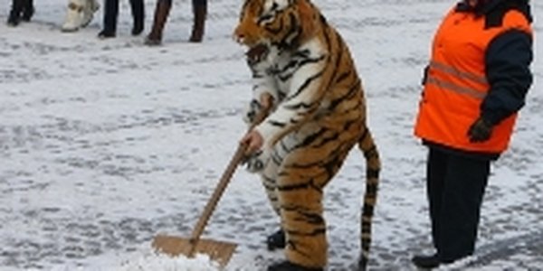 Выходим на уборку города от снега!