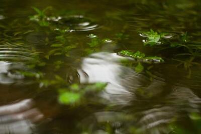 Местами на реках Приморья возможны резкие подъёмы уровня воды