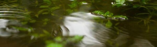 Местами на реках Приморья возможны резкие подъёмы уровня воды