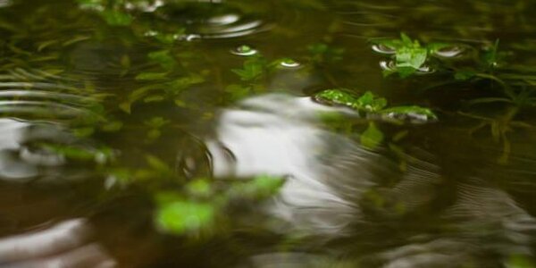 Местами на реках Приморья возможны резкие подъёмы уровня воды