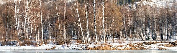 Реки Приморья вскроются ото льда на 4–10 дней раньше обычного