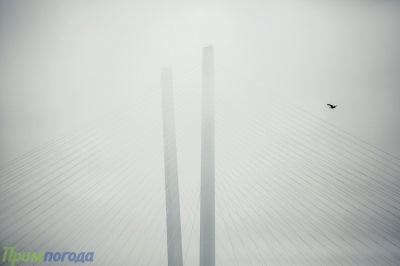 Улучшения погоды в Приморье в ближайшие сутки не ожидается