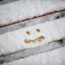 Снег количеством от 1 до 10 мм прошел во многих районах Приморья в воскресенье