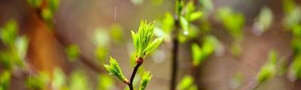 Дождливые выходные ждут жителей Приморья