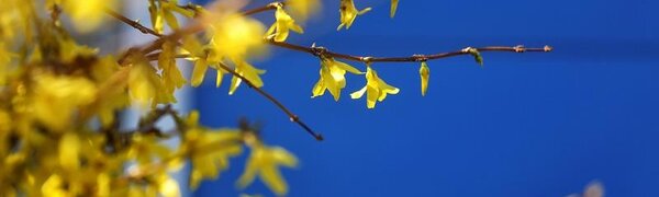Погода на следующей неделе начнет налаживаться