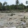 Десятки деревень смыты в море в Индонезии