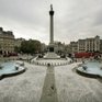 В центре Лондона вырос «лес-призрак»