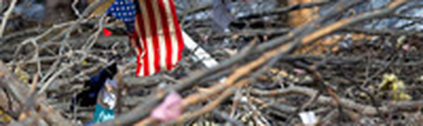Ряд районов штата Иллинойс в США объявлены зоной стихийного бедствия