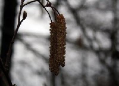 Сегодня и в ближайшие сутки в Приморье погода будет неустойчивой
