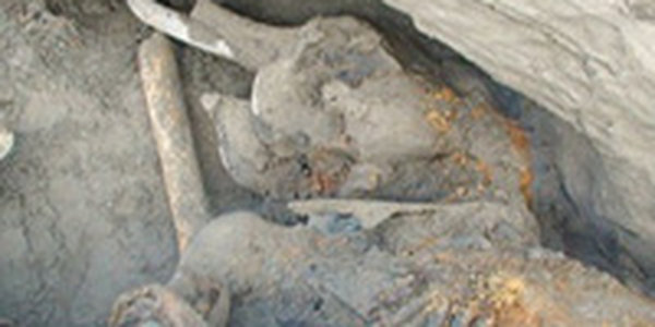 Ребенок нашел 30 000-летнего мамонта