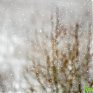 В выходные в Приморье местами пройдёт снег