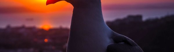 После дождей в Приморье похолодает