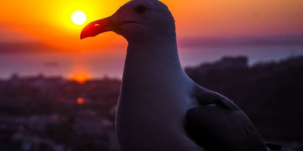 После дождей в Приморье похолодает