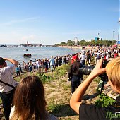 Купание слонов в солнечный день