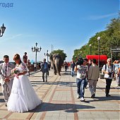 Купание слонов в солнечный день