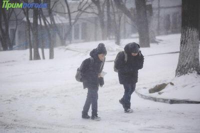 Школы и детсады Владивостока сегодня работают в обычном режиме