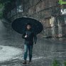 Сразу два тайфуна несут в Приморье проливные дожди