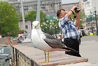 Корбельная Набережная